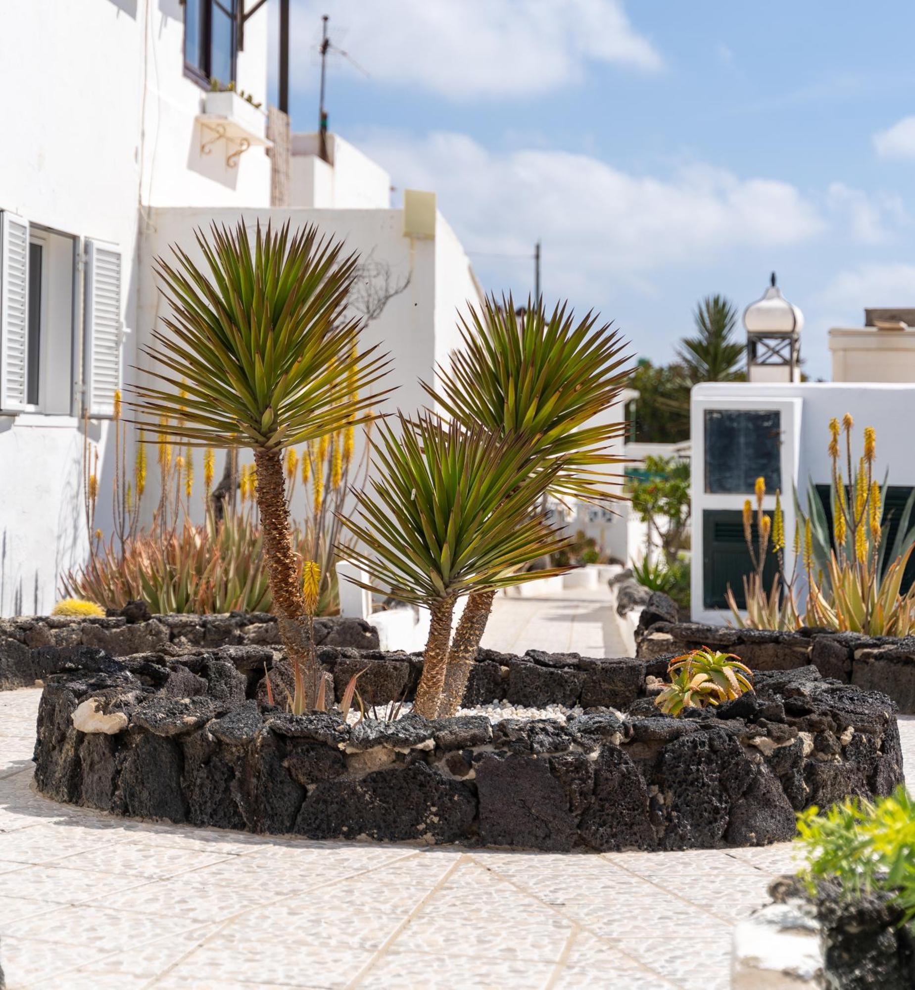 Casa Salinas Del Mar Apartment Guatiza Room photo